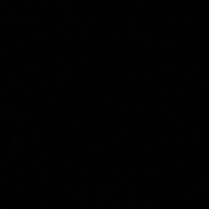 Meet your Posher, Jazmin